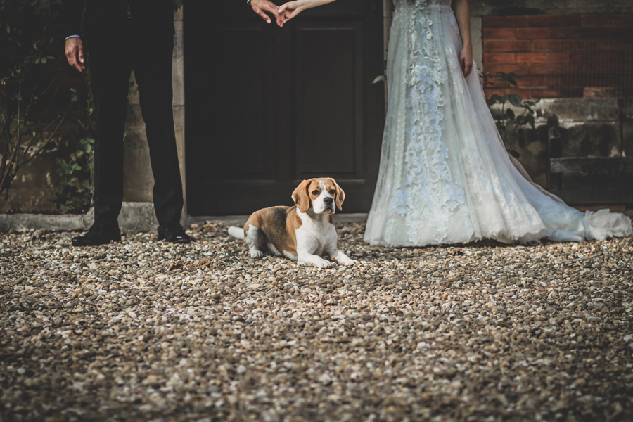 fotos de boda en la casona de las fraguas cantabria perro